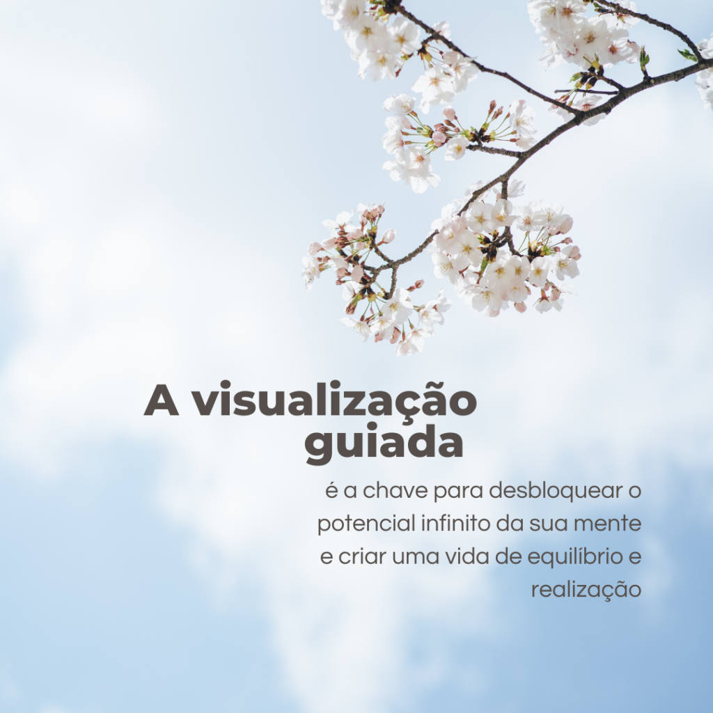 visualização guiada